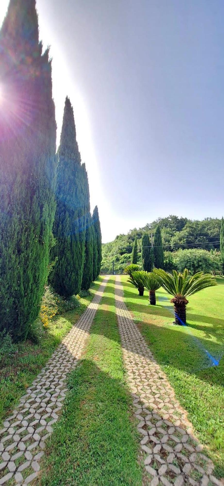 Villa Lucilla Altavilla Silentina Exterior foto