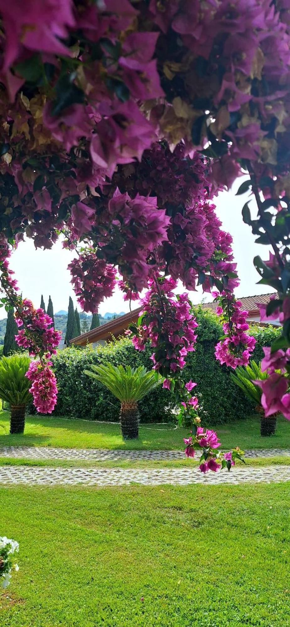 Villa Lucilla Altavilla Silentina Exterior foto